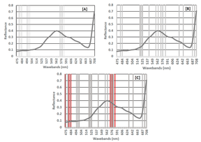 The importance of wavebands as determined by RF