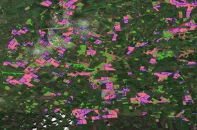 Field boundaries change detection