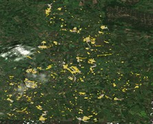 Examples of field boundaries changes