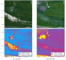 RGB imagery of study area and derived archetypes [classes]