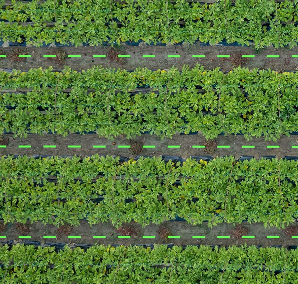 Limited space navigation